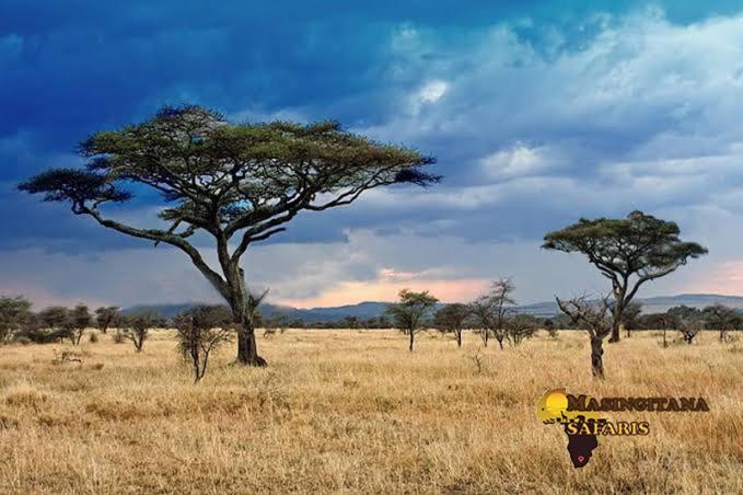 Mzsingitana Tented Camp Hoedspruit Exteriér fotografie