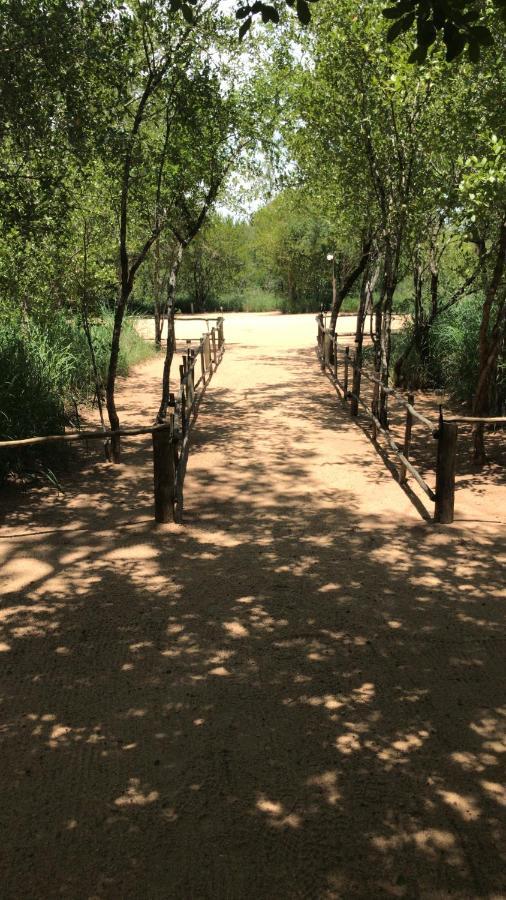 Mzsingitana Tented Camp Hoedspruit Exteriér fotografie