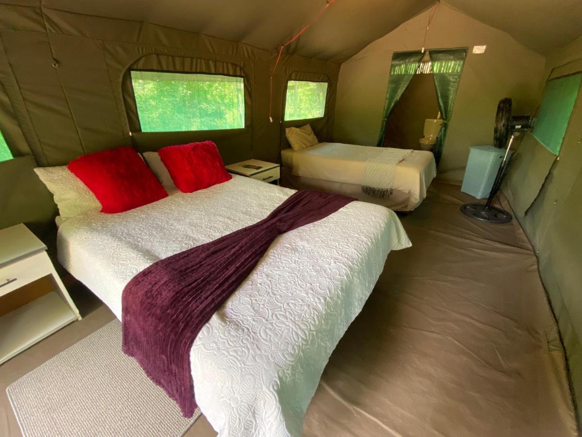 Mzsingitana Tented Camp Hoedspruit Exteriér fotografie