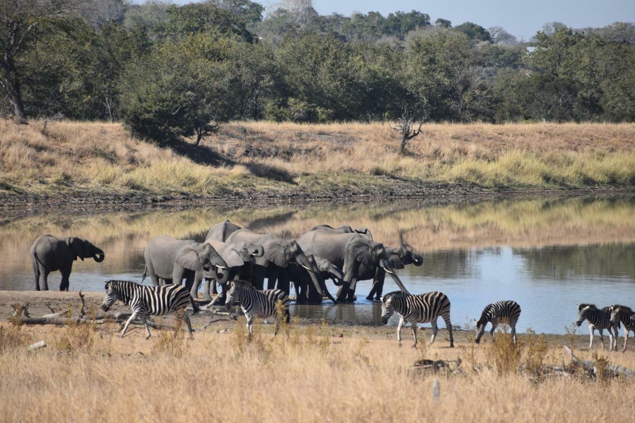 Mzsingitana Tented Camp Hoedspruit Exteriér fotografie