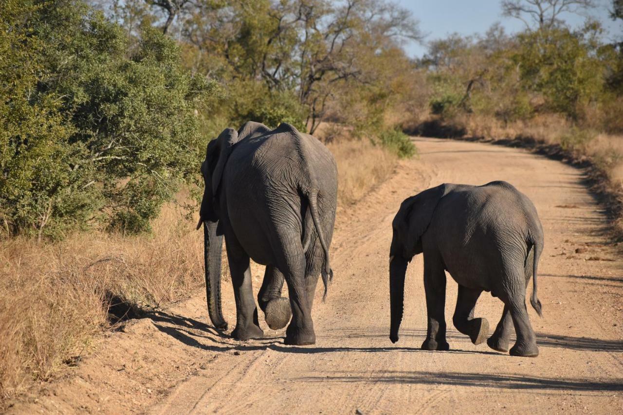 Mzsingitana Tented Camp Hoedspruit Exteriér fotografie
