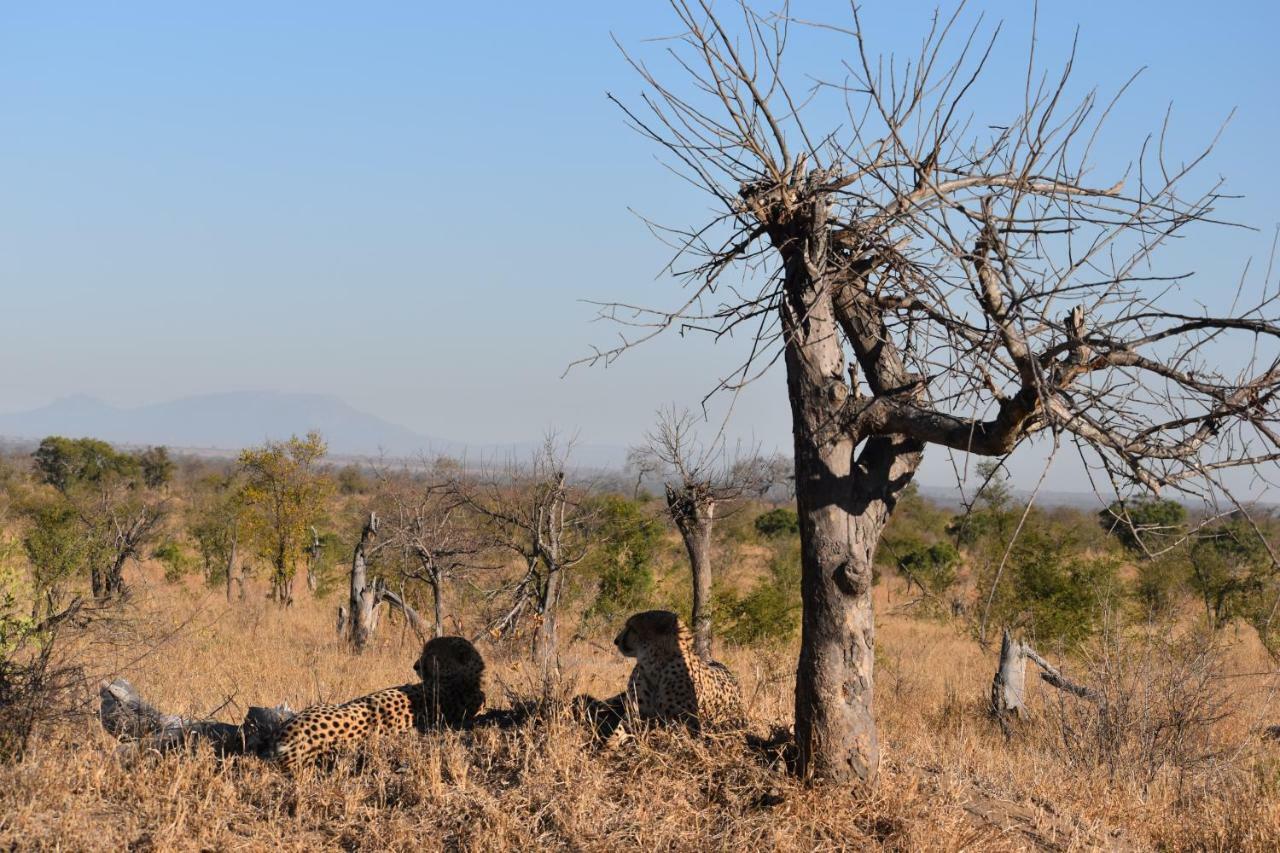 Mzsingitana Tented Camp Hoedspruit Exteriér fotografie