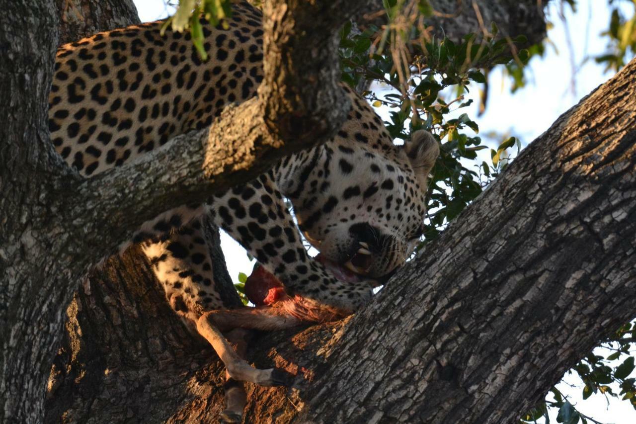 Mzsingitana Tented Camp Hoedspruit Exteriér fotografie