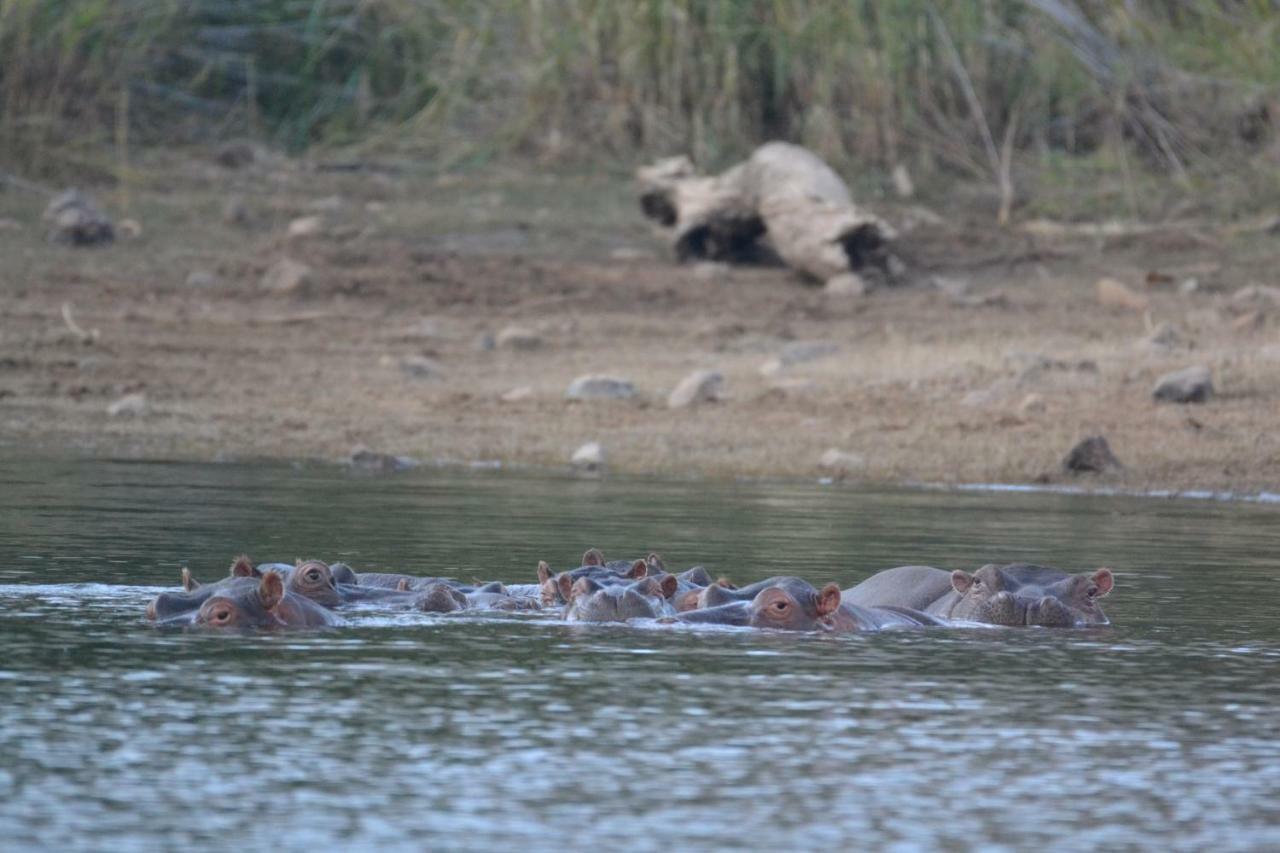 Mzsingitana Tented Camp Hoedspruit Exteriér fotografie
